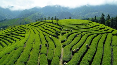 【今日清明节】 (© Xinhua/Alamy Stock Photo)(20200404)的图片-【今日清明节】 (© Xinhua/Alamy Stock Photo)