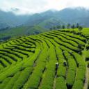 【今日清明节】 (© Xinhua/Alamy Stock Photo)(20200404)
