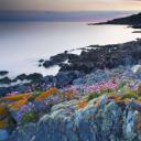 公牛角，英国德文郡 (© Robert Harding World Imagery/Offset by Shutterstock)(20200623)
