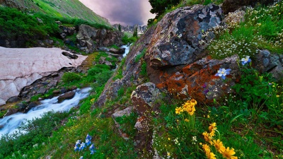 位于科罗拉多南部圣胡安山脉的美国盆地 (© Blaine Harrington III/Alamy)(20200709)的图片-位于科罗拉多南部圣胡安山脉的美国盆地 (© Blaine Harrington III/Alamy)
