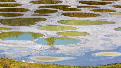 奥卡诺根的斑点湖，加拿大不列颠哥伦比亚省 (© Galyna Andrushko/Shutterstock)(20200826)的图片-奥卡诺根的斑点湖，加拿大不列颠哥伦比亚省 (© Galyna Andrushko/Shutterstock)