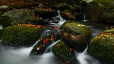 大雾山国家公园中的咆哮叉，田纳西州 (© Bernie Kasper/Getty Images)(20201009)的图片-大雾山国家公园中的咆哮叉，田纳西州 (© Bernie Kasper/Getty Images)
