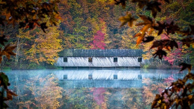 亨茨维尔附近绿色山公园中的Cambron Covered Bridge，阿拉巴马州  (© Jens Lambert/Shutterstock)(20201027)的图片-亨茨维尔附近绿色山公园中的Cambron Covered Bridge，阿拉巴马州  (© Jens Lambert/Shutterstock)