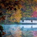 亨茨维尔附近绿色山公园中的Cambron Covered Bridge，阿拉巴马州  (© Jens Lambert/Shutterstock)(20201027)