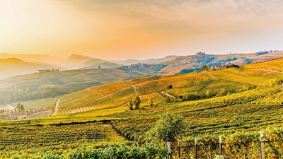 巴罗洛葡萄园的山丘，意大利皮埃蒙特 (© Marco Arduino/eStock Photo)(20201109)的图片-巴罗洛葡萄园的山丘，意大利皮埃蒙特 (© Marco Arduino/eStock Photo)