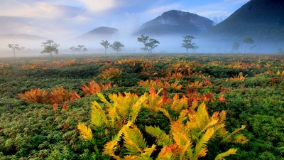 日本北海道 (© Hiroshi Yokoyama/eStock Photo)(20201116)的图片-日本北海道 (© Hiroshi Yokoyama/eStock Photo)