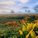 日本北海道 (© Hiroshi Yokoyama/eStock Photo)(20201116)