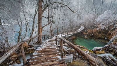 普利特维采湖群国家公园中的高架步道，克罗地亚 (© Alessandro Laporta/Offset by Shutterstock)(20201206)的图片-普利特维采湖群国家公园中的高架步道，克罗地亚 (© Alessandro Laporta/Offset by Shutterstock)