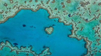 属于大堡礁的一部分的心形礁，澳大利亚昆士兰 (© Peter Adams/Offset by Shutterstock)(20210126)的图片-属于大堡礁的一部分的心形礁，澳大利亚昆士兰 (© Peter Adams/Offset by Shutterstock)