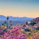 俯瞰着特雷维的扁桃花，意大利佩鲁贾 (© Maurizio Rellini/eStock Photo)(20210225)
