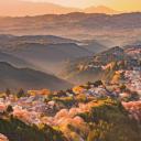 吉野山，日本奈良 (© Sean Pavone/iStock/Getty Images Plus)(20210411)