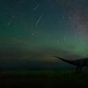 拍摄于二连浩特恐龙博物馆中的英仙座流星雨，中国内蒙古 (© bjdlzx/Getty Images)(20210811)
