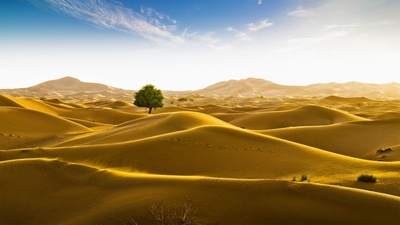 位于阿曼和迪拜酋长国边界的鲁卜哈利沙漠 (© Daniel Schoenen/Offset by Shutterstock)(20210820)的图片-位于阿曼和迪拜酋长国边界的鲁卜哈利沙漠 (© Daniel Schoenen/Offset by Shutterstock)