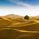 位于阿曼和迪拜酋长国边界的鲁卜哈利沙漠 (© Daniel Schoenen/Offset by Shutterstock)(20210820)