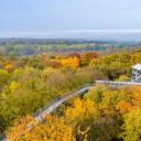 Treetop walkway in Hainich National Park, Thuringia, Germany (© mauritius images GmbH/Alamy)(20210911)