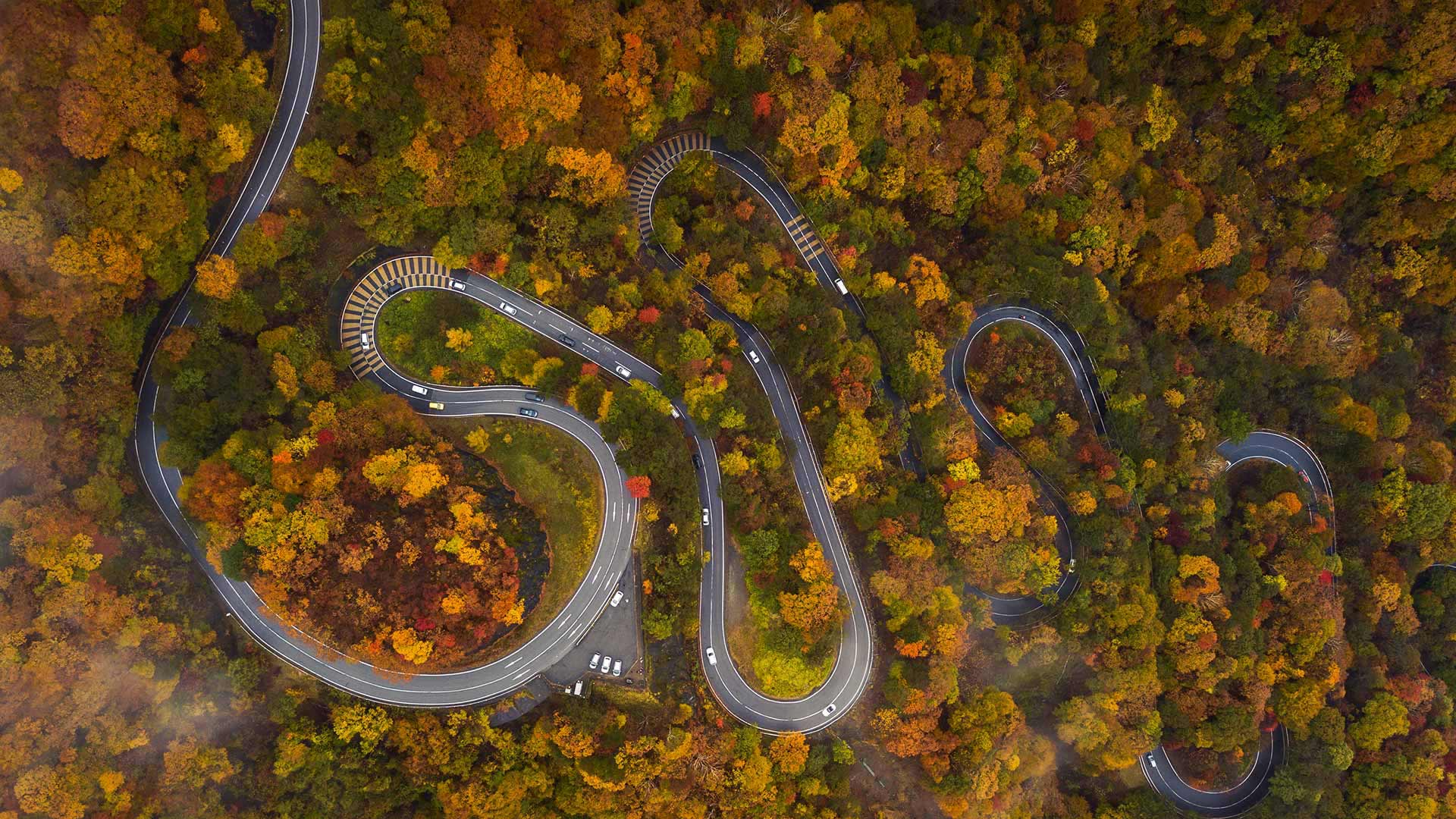 伊吕波坂山道，日本日光市 (© LightRecords/Shutterstock)(20211122)的图片-伊吕波坂山道，日本日光市 (© LightRecords/Shutterstock)
