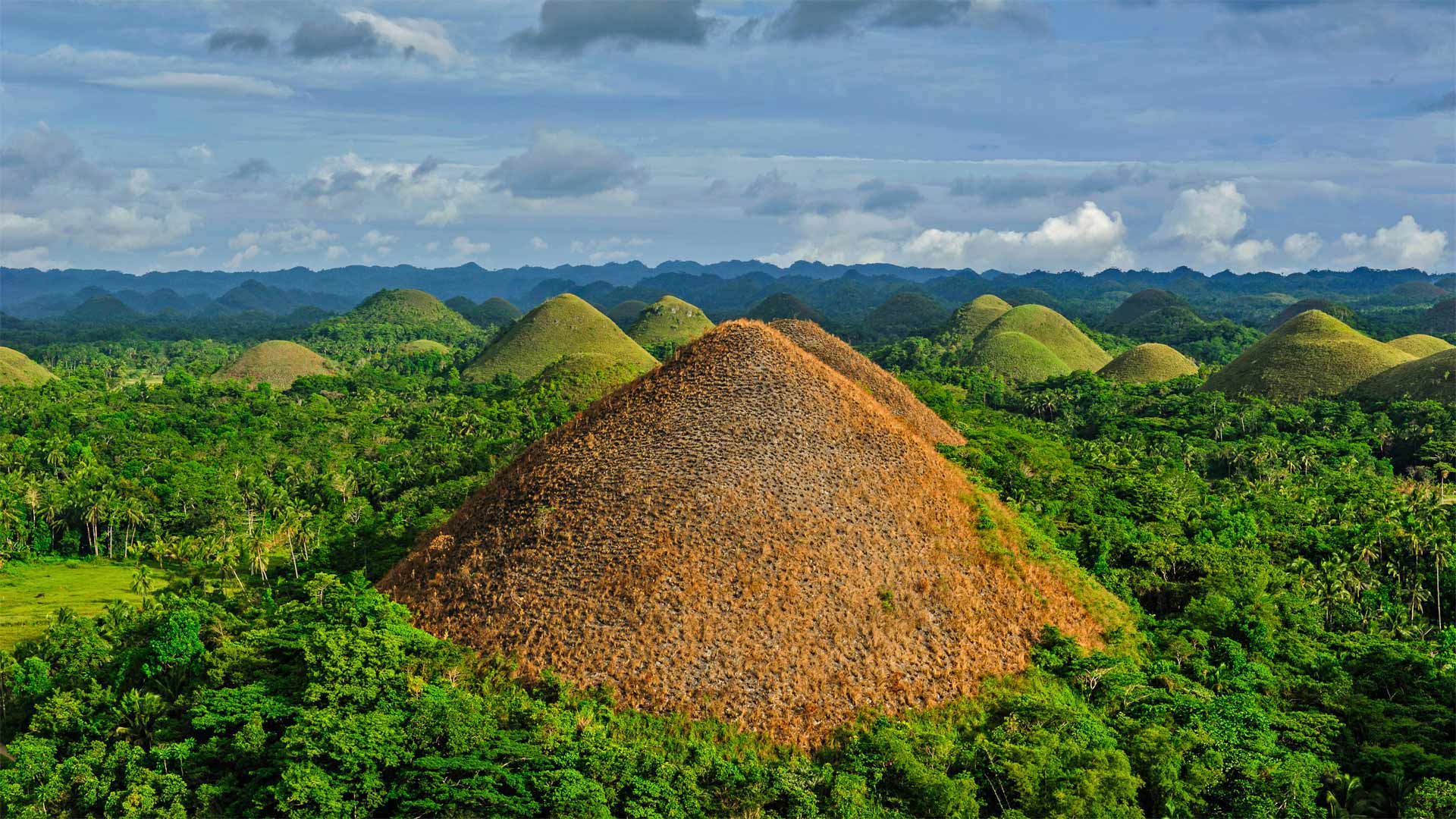 独特的巧克力山，菲律宾薄荷岛 (© Danita Delimont/Offset by Shutterstock)(20211124)的图片-独特的巧克力山，菲律宾薄荷岛 (© Danita Delimont/Offset by Shutterstock)