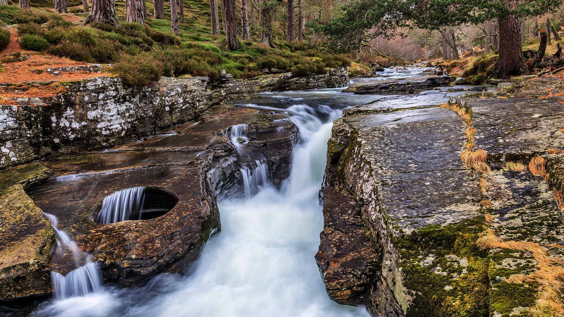 Linn of Quoich瀑布旁的碗状岩石洞，苏格兰阿伯丁郡 (© AWL Images/Danita Delimont)(20211220)的图片-Linn of Quoich瀑布旁的碗状岩石洞，苏格兰阿伯丁郡 (© AWL Images/Danita Delimont)