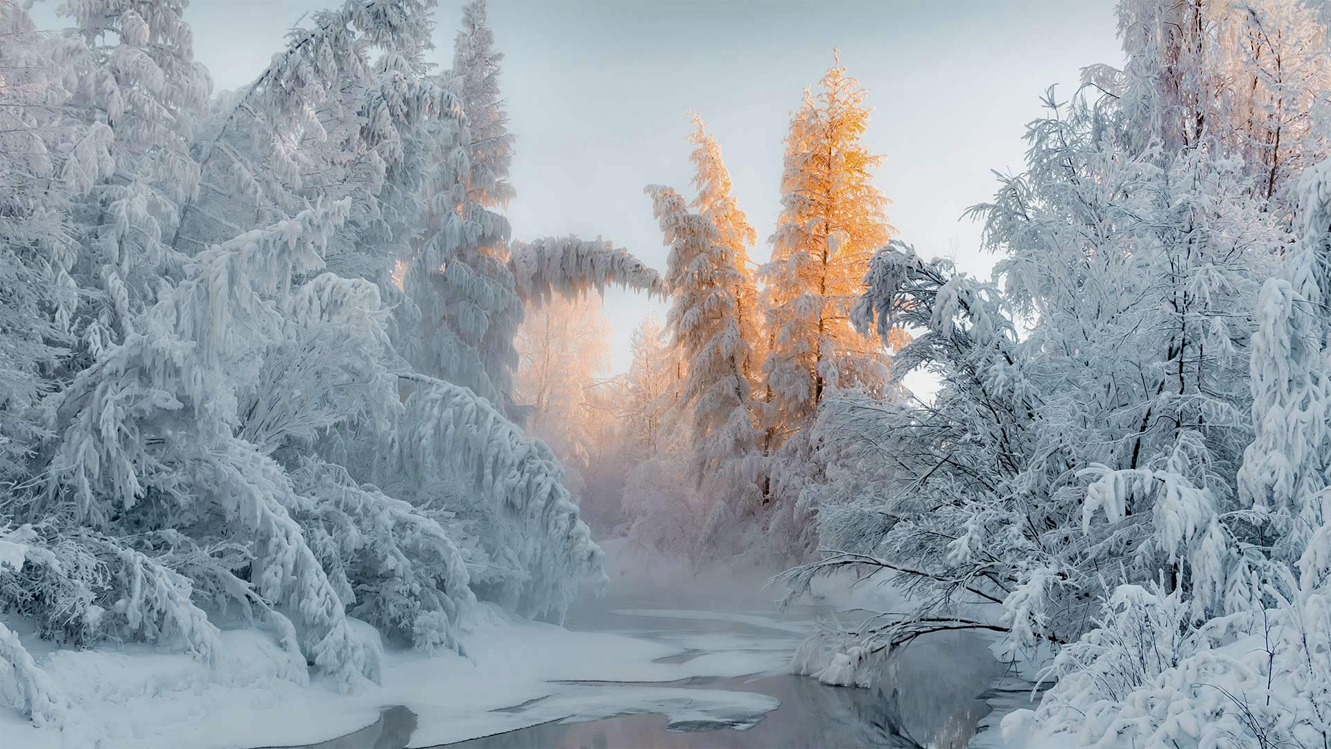 奥伊米亚康的冬天，俄罗斯 (© Alexandr Berdicevschi/Getty Images)(20220206)的图片-奥伊米亚康的冬天，俄罗斯 (© Alexandr Berdicevschi/Getty Images)