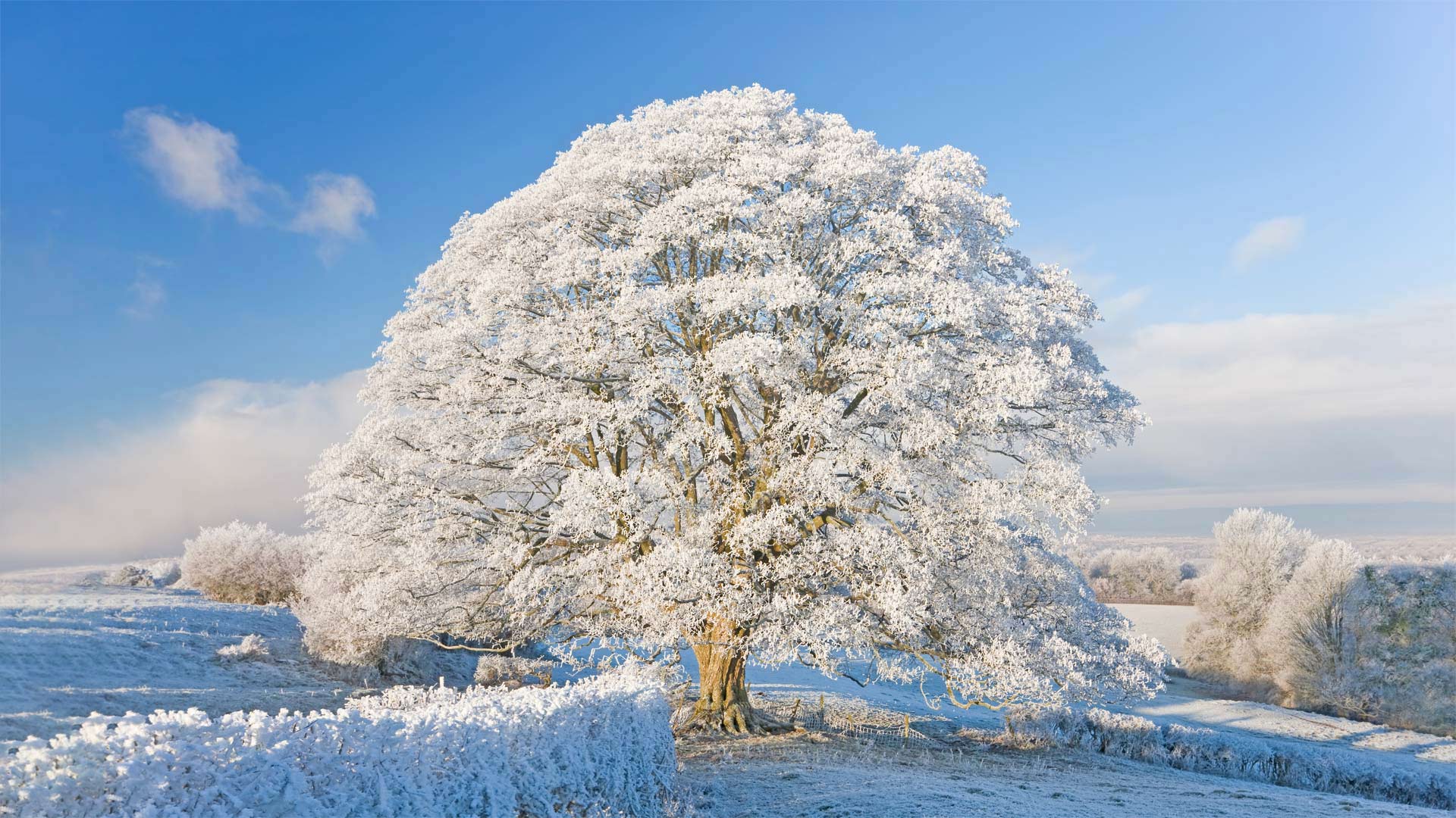 霜雪覆盖下的科茨沃尔德，英格兰 (© Peter Adams/Getty Images)(20220228)的图片-霜雪覆盖下的科茨沃尔德，英格兰 (© Peter Adams/Getty Images)