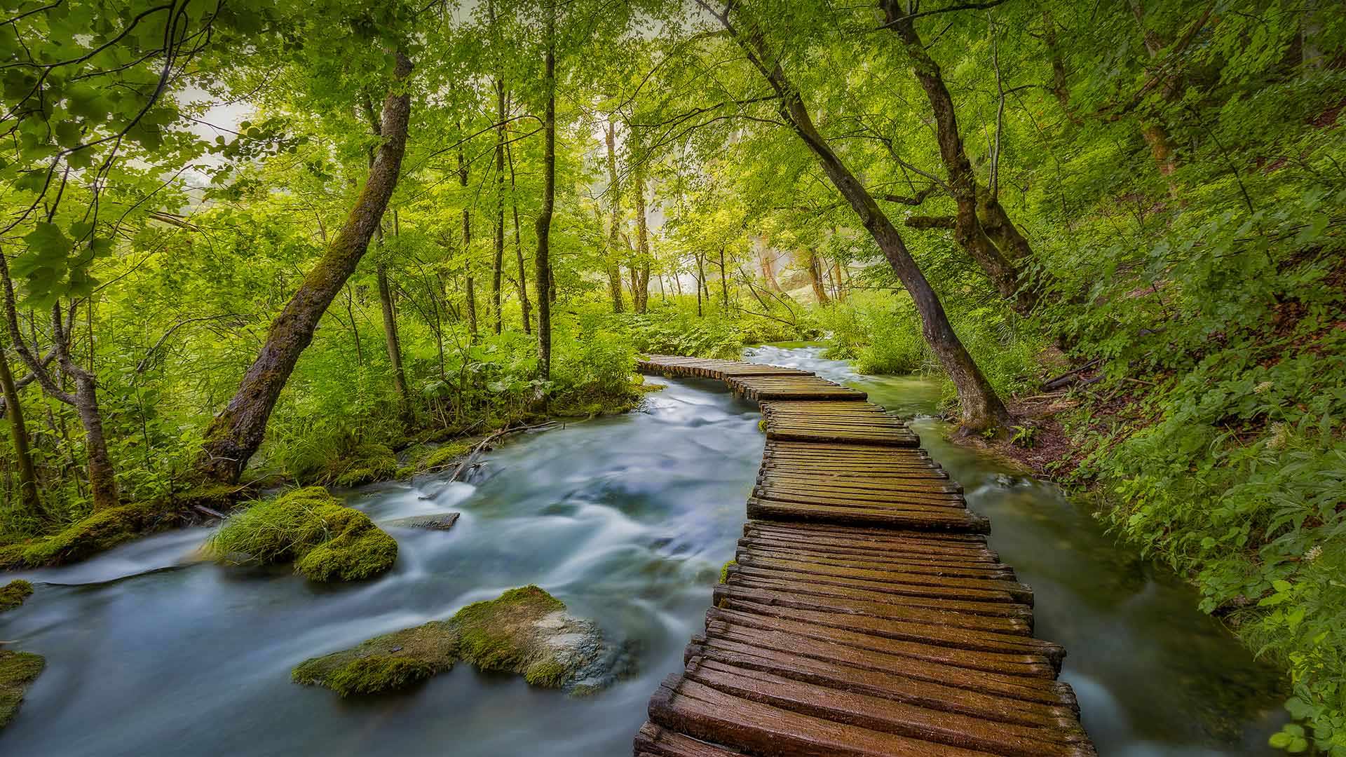 十六湖国家公园，克罗地亚 (© Janne Kahila/Getty Images)(20220419)的图片-十六湖国家公园，克罗地亚 (© Janne Kahila/Getty Images)
