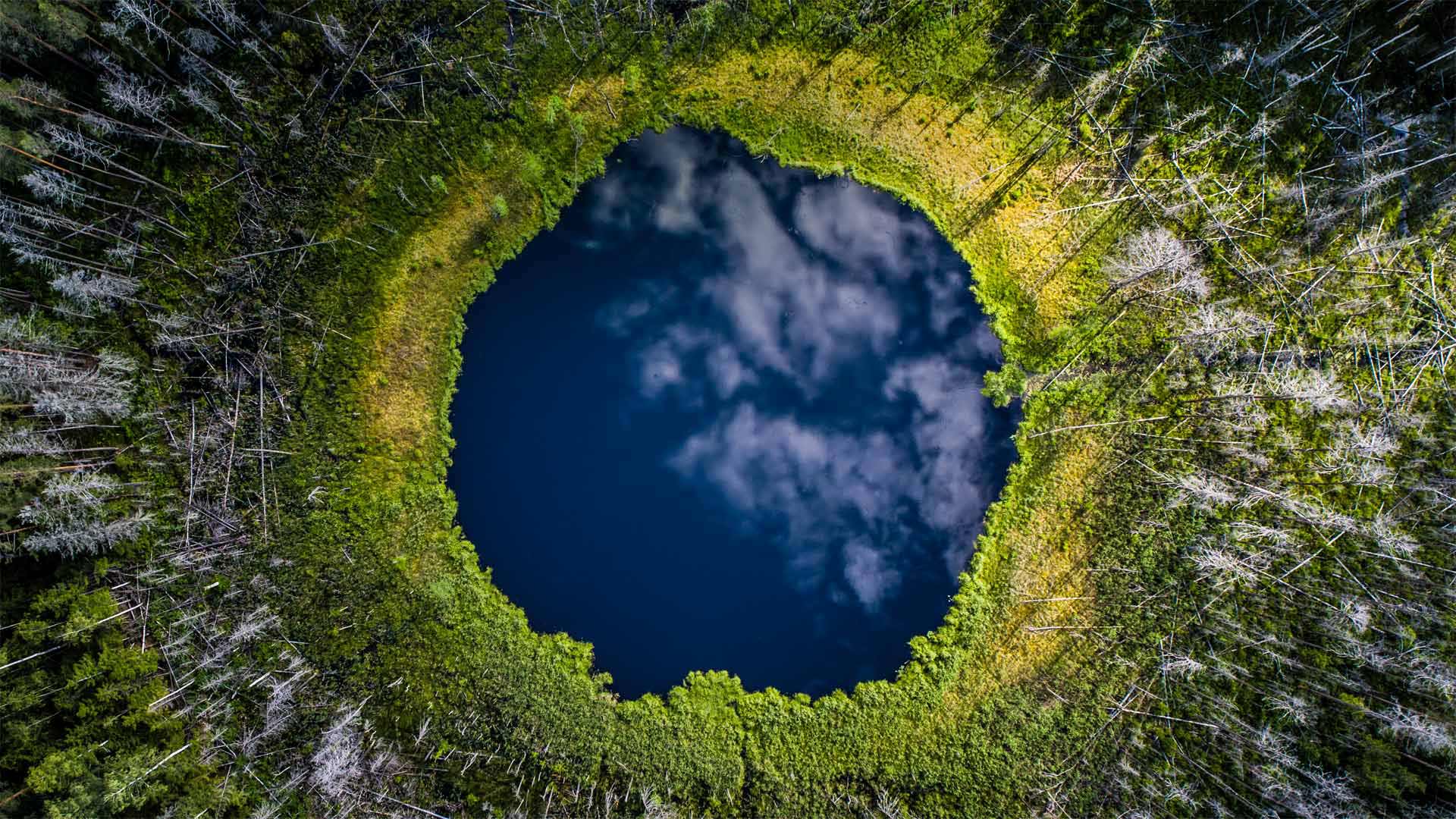 卡鲁拉国家公园里的小湖，爱沙尼亚 (© Sven Zacek/Minden Pictures)(20220422)的图片-卡鲁拉国家公园里的小湖，爱沙尼亚 (© Sven Zacek/Minden Pictures)