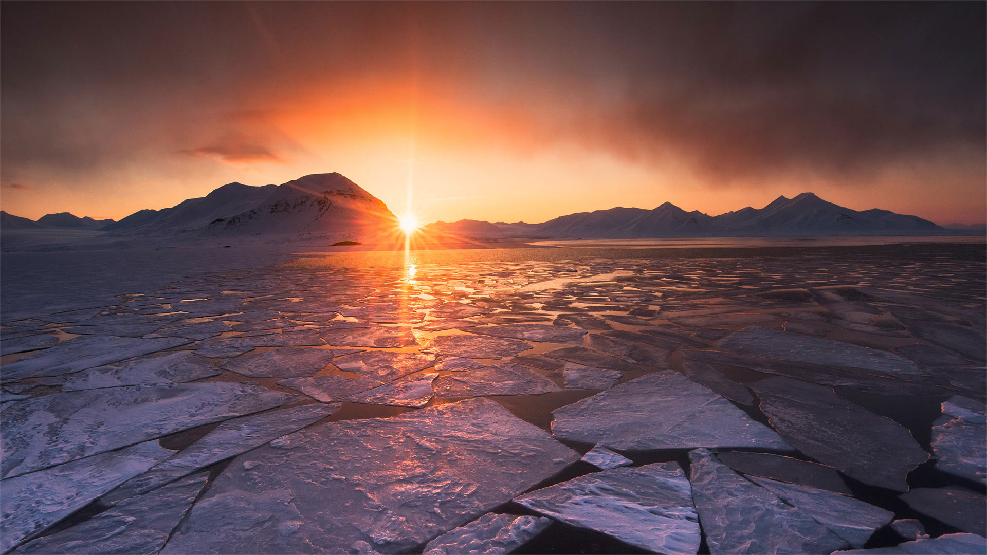 午夜的太阳，挪威斯瓦尔巴群岛 (© Nature Picture Library/Alamy)(20220427)的图片-午夜的太阳，挪威斯瓦尔巴群岛 (© Nature Picture Library/Alamy)