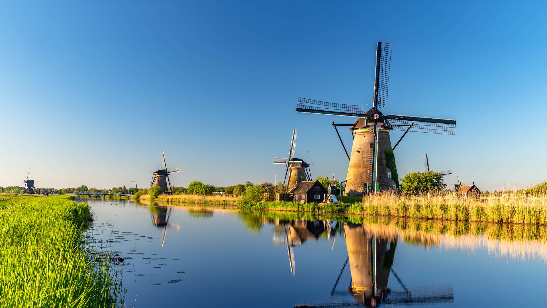 金德代克风车群，荷兰 (© Achim Thomae/Getty Images)(20220514)的图片-金德代克风车群，荷兰 (© Achim Thomae/Getty Images)
